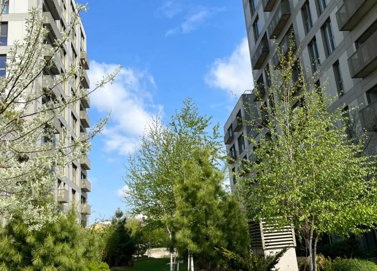 Herastrau Park Apartment Bucharest Romania